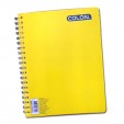 Cuaderno profesional Colon doble espiral 100 hojas raya