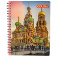 Cuaderno profesional Colon doble espiral 100 hojas cuadro grande