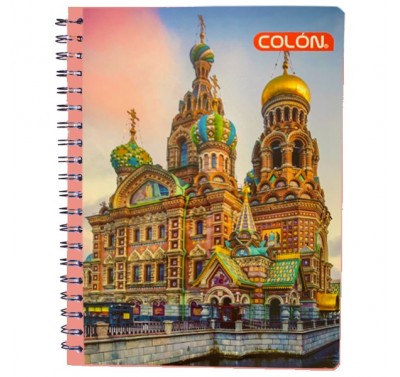 Cuaderno profesional Colon doble espiral 100 hojas cuadro grande