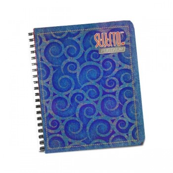 Cuaderno profesional Selecto doble espiral 100 hojas raya