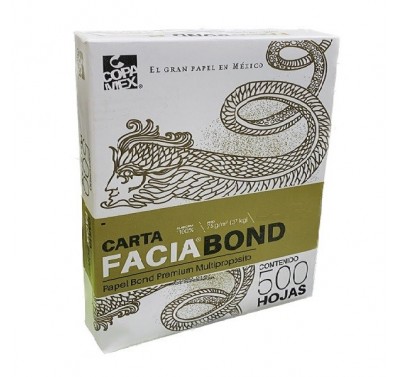 Hoja Facia doble carta paquete con 500 hojas