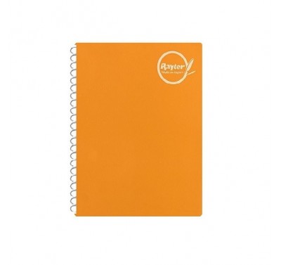 Cuaderno forma francesa Rayter espiral cuadro grande 100 hojas