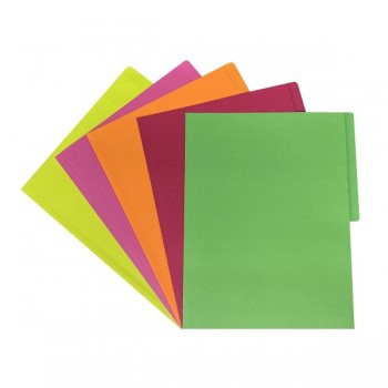 Folder tama&ntilde;o carta fluorescente surtido  25 piezas