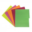 Folder tamaño carta fluorescente surtido  25 piezas