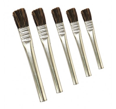 Brocha lamina en exhibidor con 50 piezas