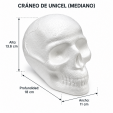Craneo de unicel (mediano) 